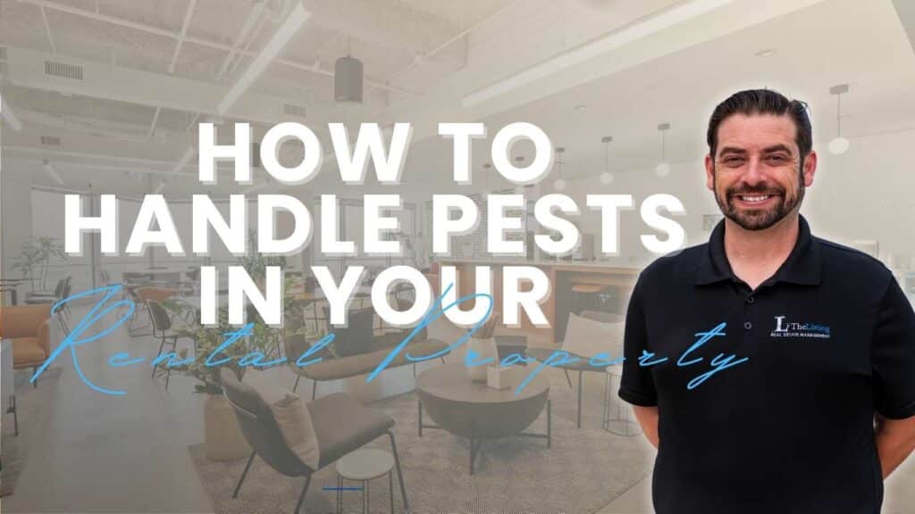 How to handle pests in your rental property